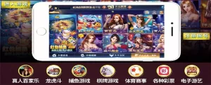 理解龙虎斗游戏的牌面点数玩法对于制定有效的投注策略至关重要